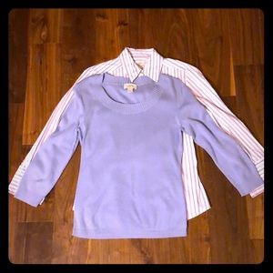 Ann Taylor Loft shirt and sweater